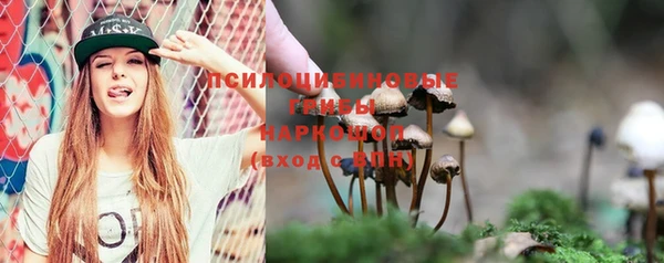 mdpv Алзамай