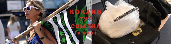 соль ск Алексеевка