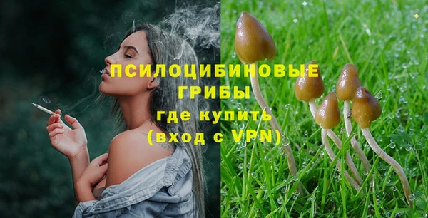 PSILOCYBIN Алексин