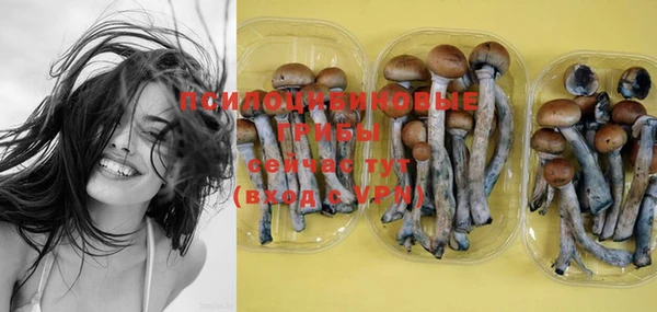 PSILOCYBIN Алексин