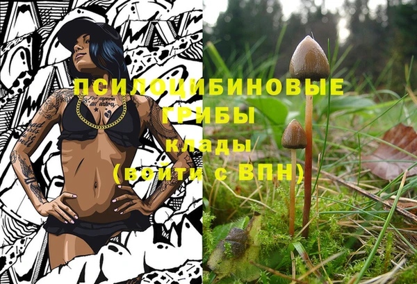 соль ск Алексеевка