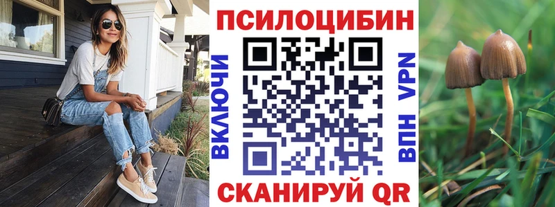 Псилоцибиновые грибы MAGIC MUSHROOMS Сясьстрой